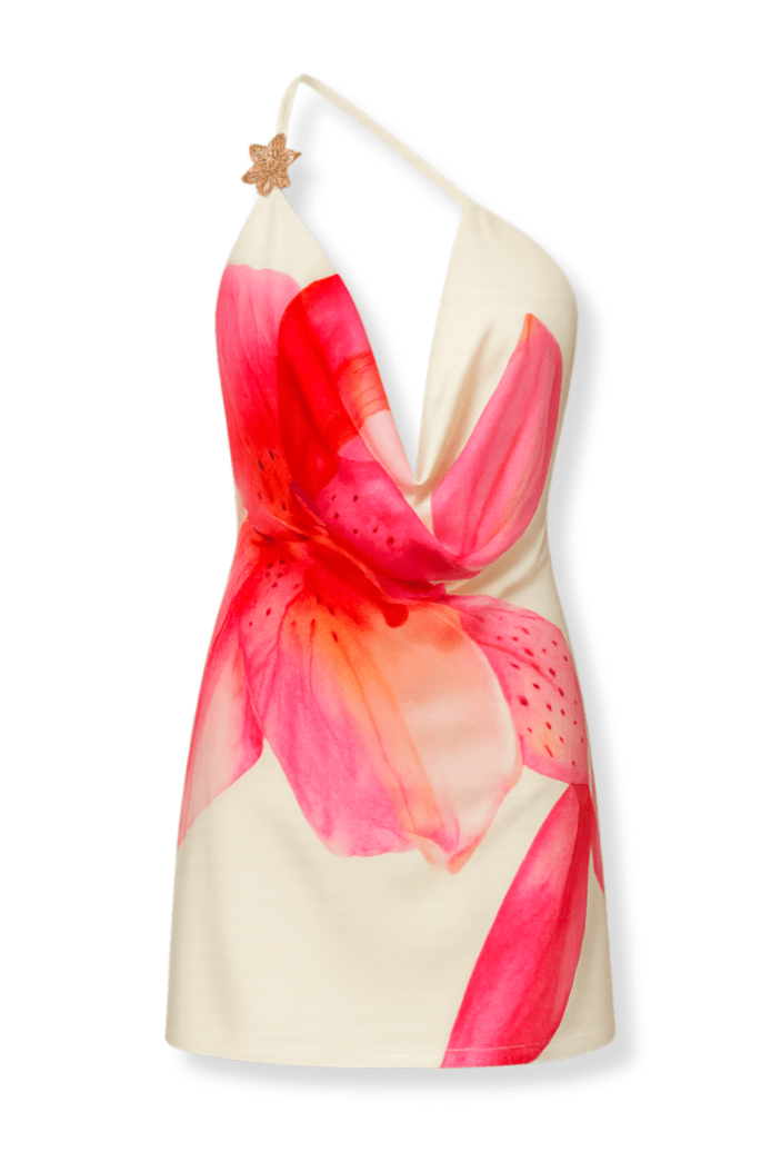 Arizona Pink Floral Dress | | S | Agnese Studios
