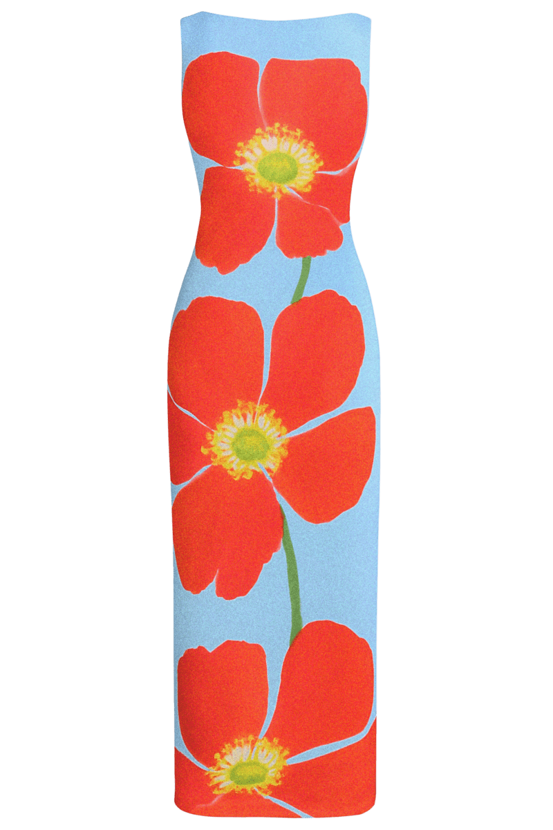 Borealis Dress | | XS | Agnese Studios