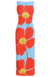 Borealis Dress | | XS | Agnese Studios