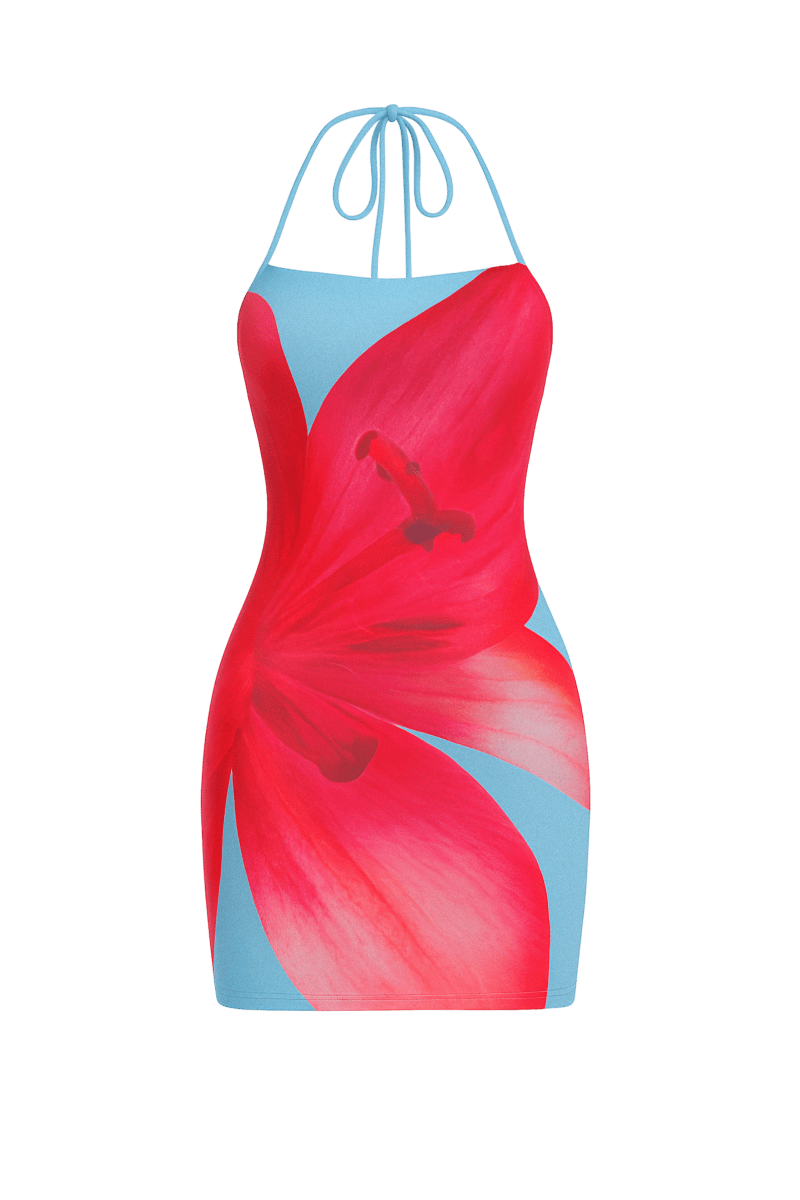 Eli Sutton Dress | | S | Agnese Studios