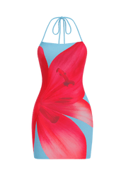 Eli Sutton Dress | | S | Agnese Studios