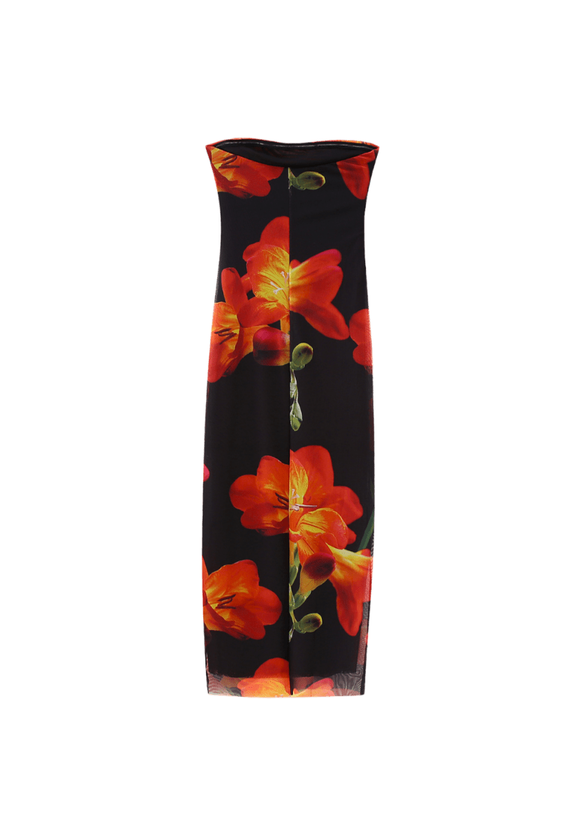 Elissa Conti Dress | | S | Agnese Studios