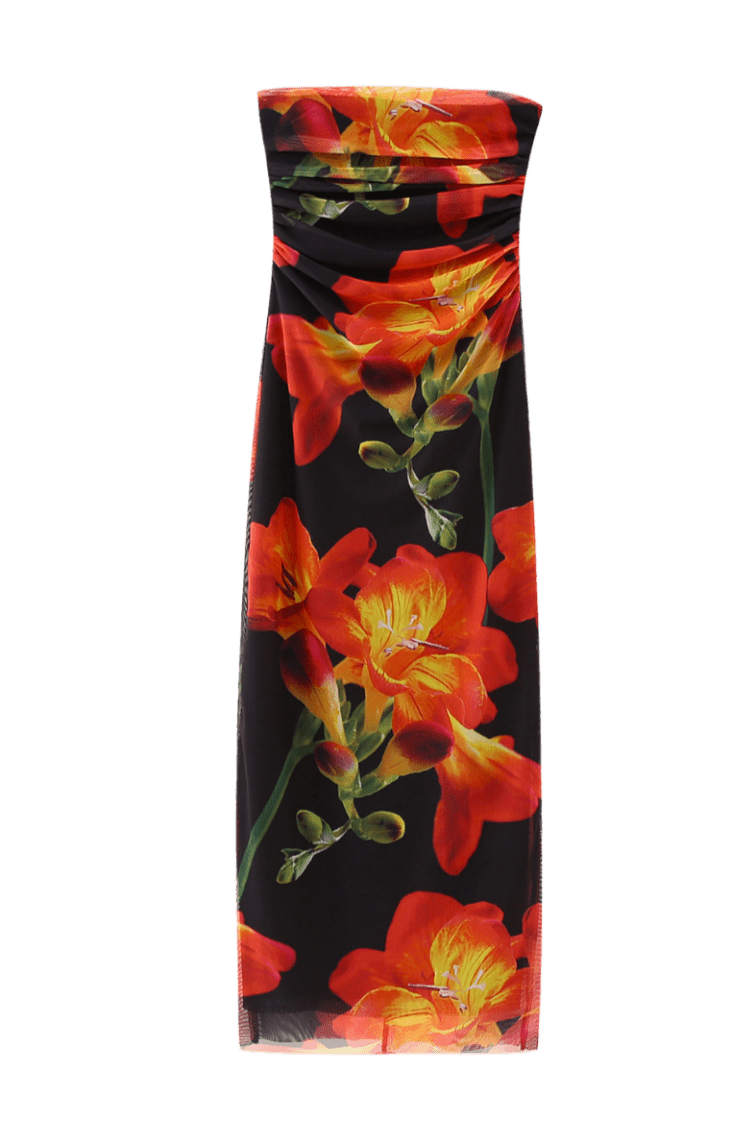 Elissa Conti Dress | | S | Agnese Studios