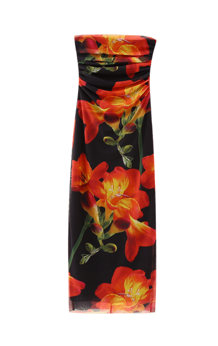 Elissa Conti Dress | | S | Agnese Studios