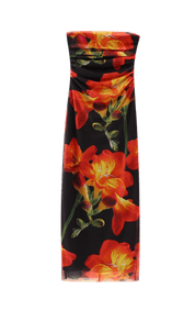 Elissa Conti Dress | | S | Agnese Studios