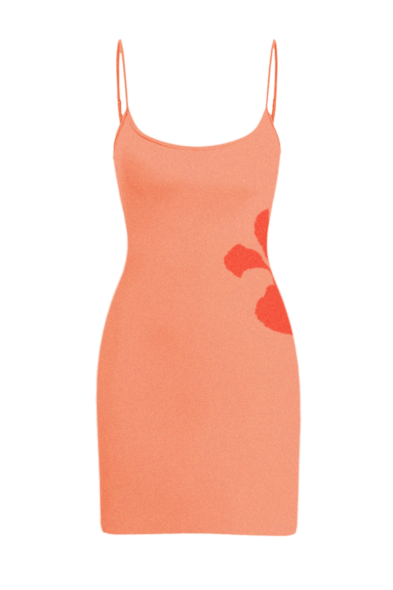 Maison Étoile Dress | | S | Agnese Studios