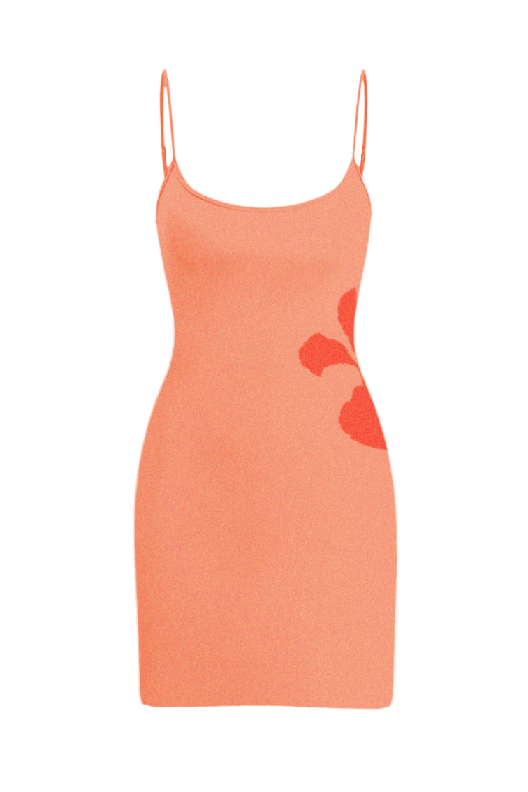 Maison Étoile Dress | | S | Agnese Studios