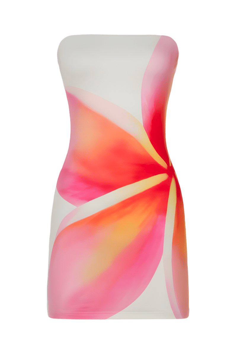 Malasia Dress | | S | Agnese Studios