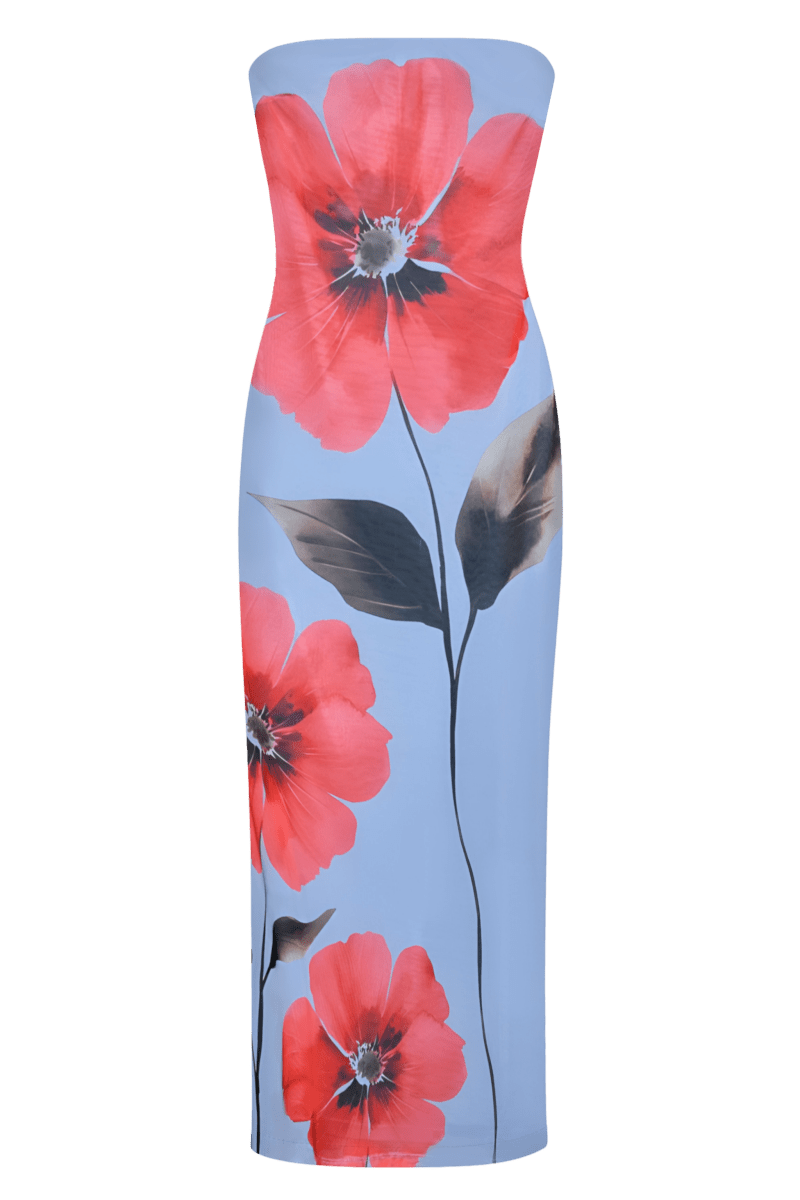 Nerida Moirae Dress | | S | Agnese Studios