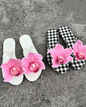 Phiphi Black Sandals | | 35 | Agnese Studios
