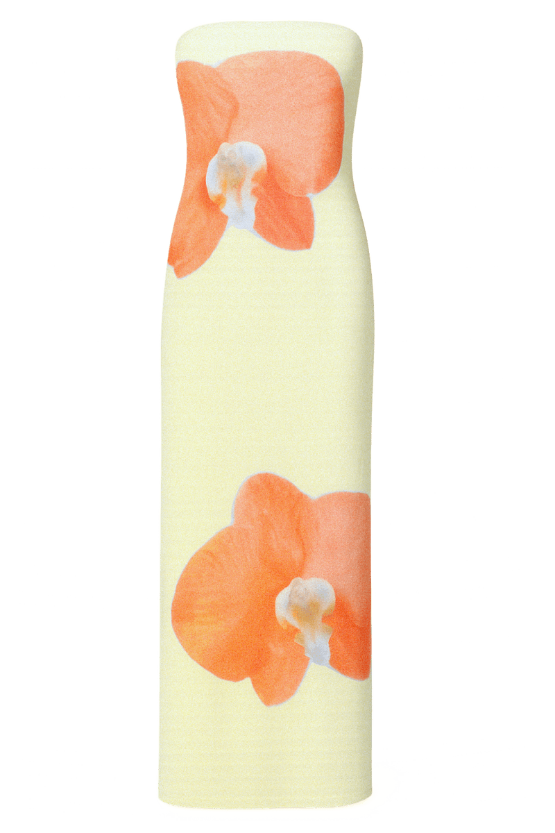 Rema Dress | | S | Agnese Studios