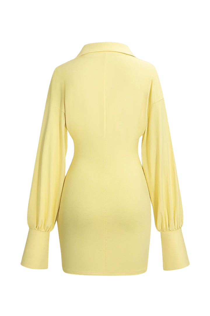 Rilia Dress | | S | Agnese Studios