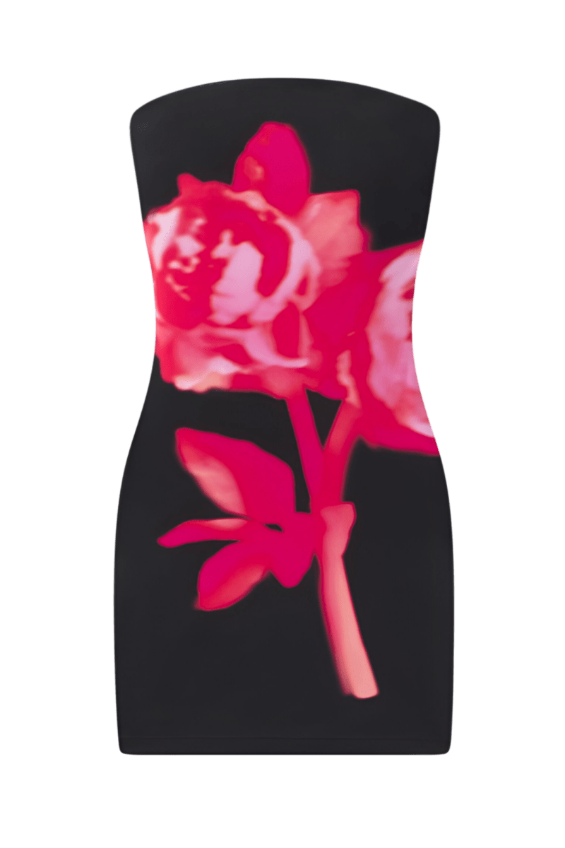Rogue Dress | | XS | Agnese Studios