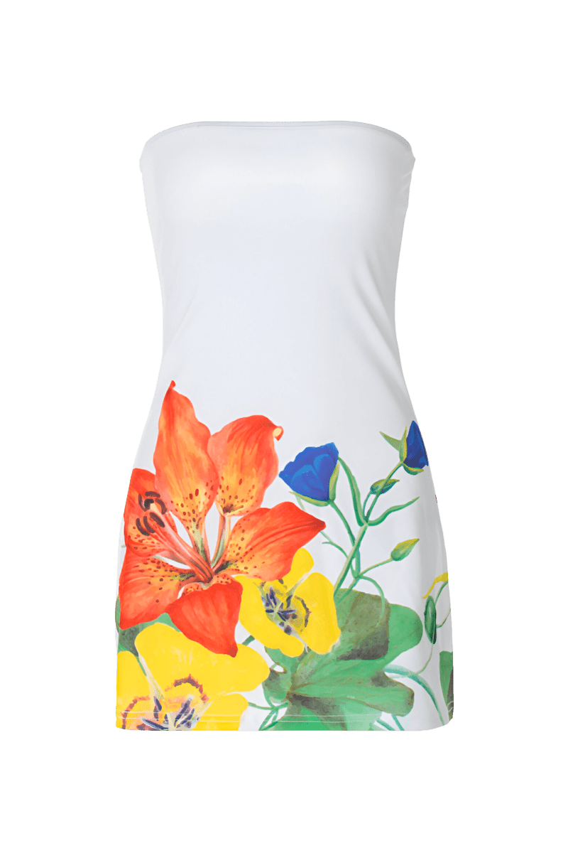 Valeriano Vorticale Dress | | XS | Agnese Studios